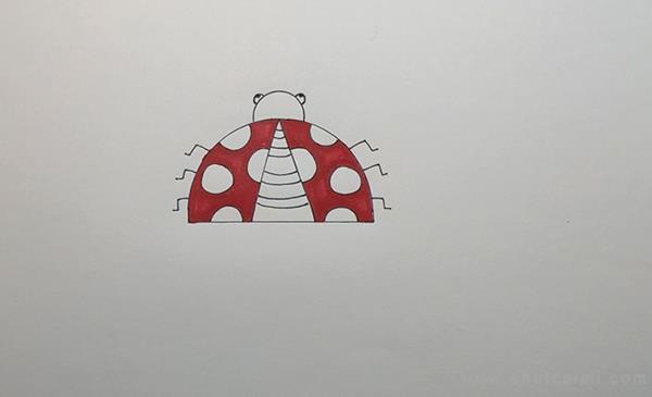 甲壳虫简笔画怎么画 甲壳虫简笔画图片大全