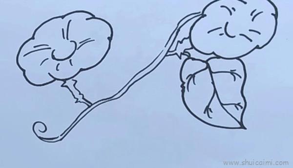 喇叭花儿童画怎么画 喇叭花简笔画好看