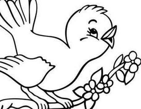 小鸟的简笔画 小鸟的简笔画简单又好看可爱