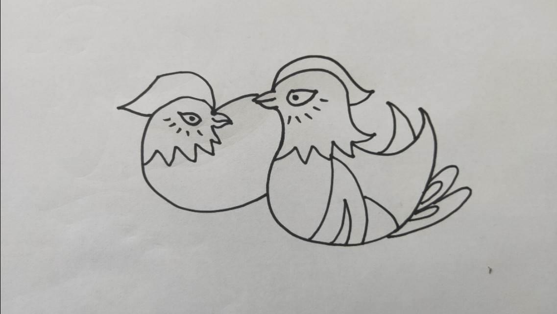 鸳鸯简笔画 一对鸳鸯简笔画