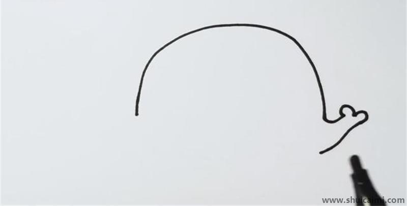 鲸鱼儿童简笔画怎么画 鲸鱼儿童画图片大全