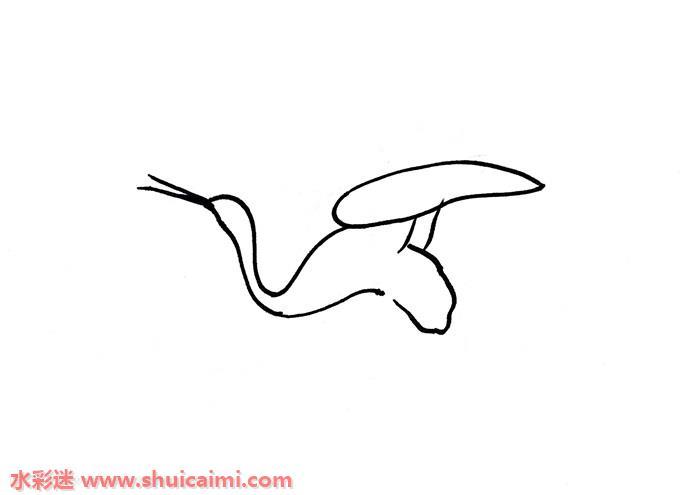 仙鹤怎么画 仙鹤简笔画彩色