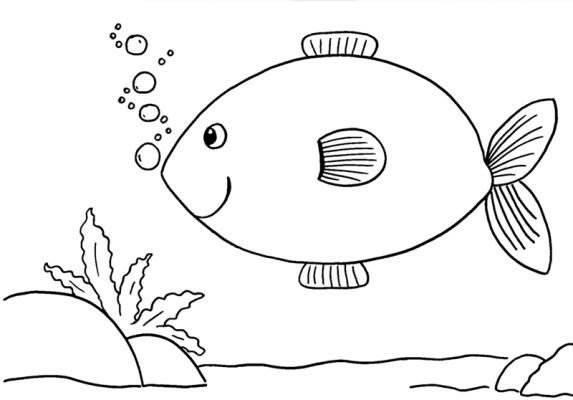 鱼的简笔画法 梭子鱼的简笔画法