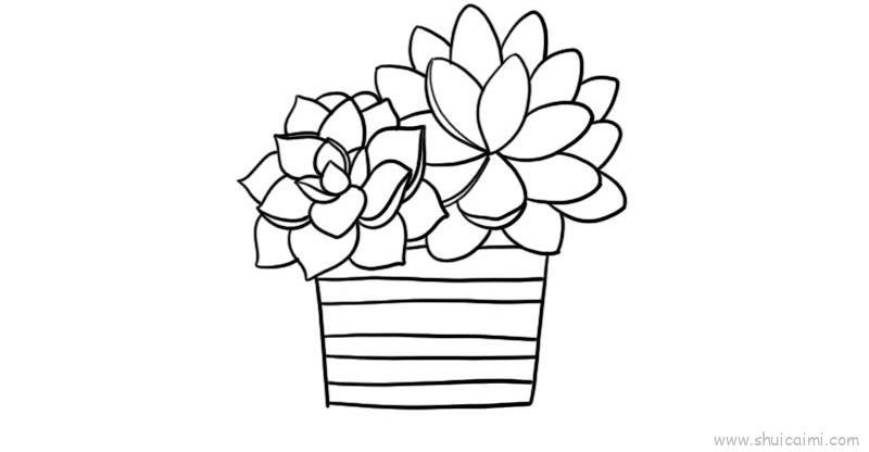 多肉盆栽儿童画怎么画 多肉盆栽简笔画好看