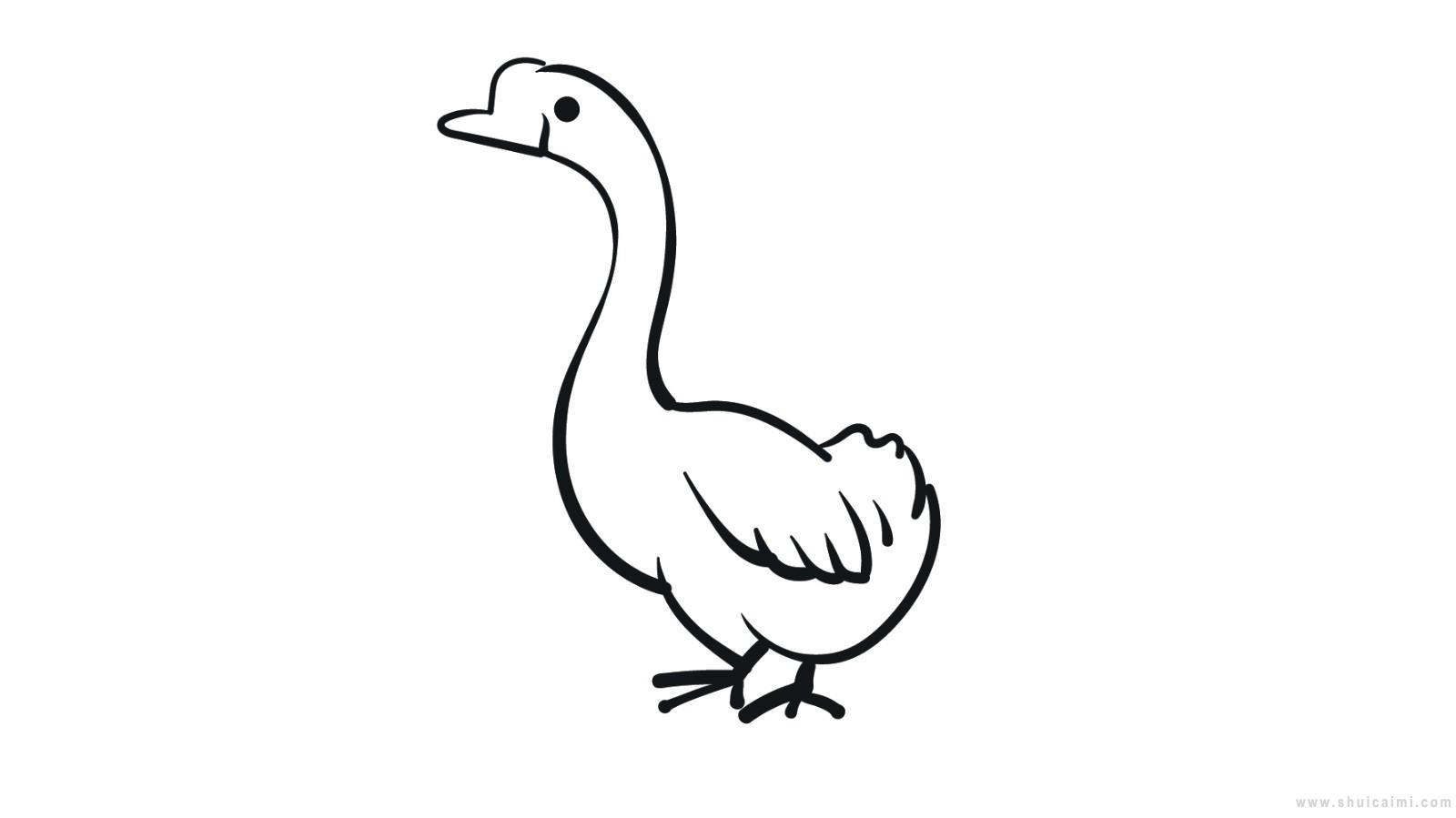 大白鹅简笔画怎么画 大白鹅简笔画图片