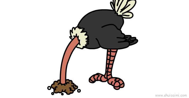 鸵鸟儿童画怎么画 鸵鸟简笔画步骤