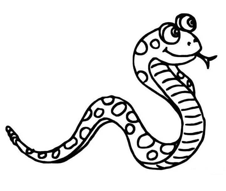 蛇的简笔画 蛇的简笔画恐怖