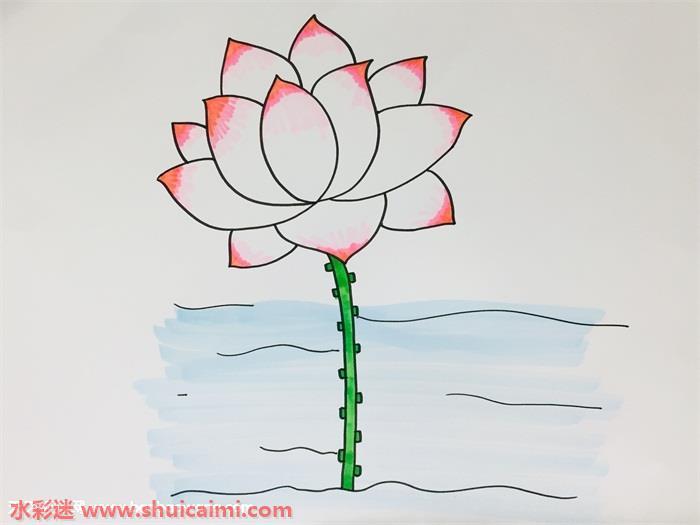 荷花怎么画 简笔画卡通荷花教程步骤