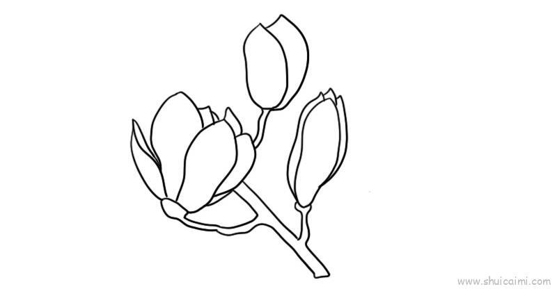 玉兰花儿童画怎么画 玉兰花简笔画简单又好看