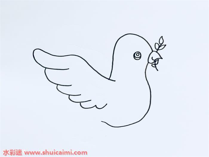 和平鸽怎么画 和平鸽简笔画简单又漂亮彩色