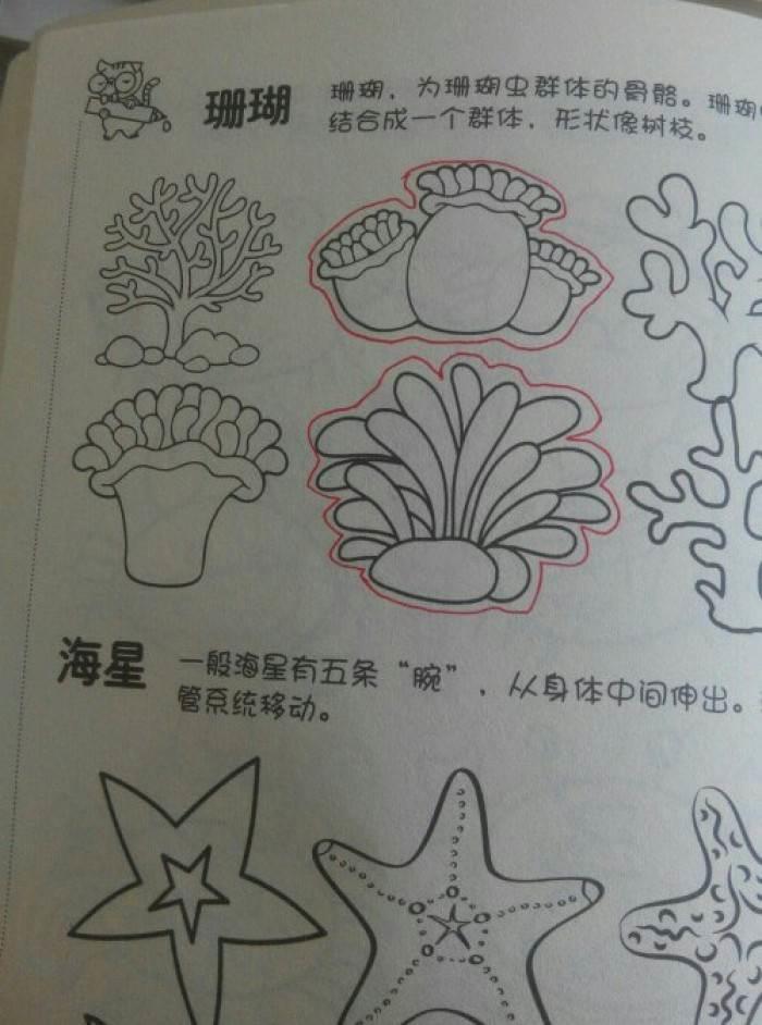 珊瑚简笔画 珊瑚简笔画图片大全