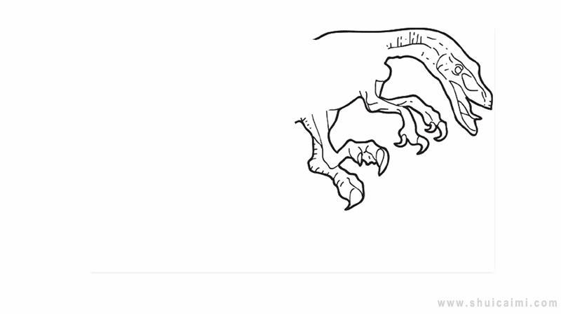 迅猛龙简笔画怎么画 迅猛龙简笔画图片大全