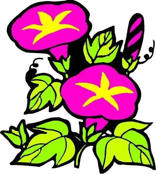 喇叭花简笔画 喇叭花简笔画图片大全