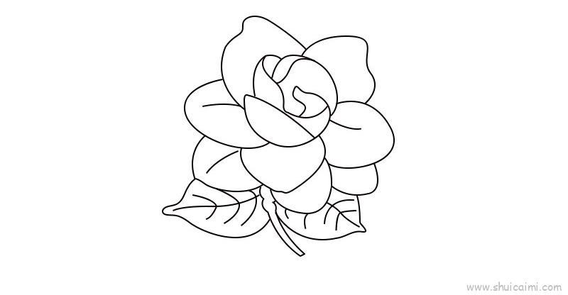 栀子花教程儿童画怎么画 栀子花教程简笔画好看