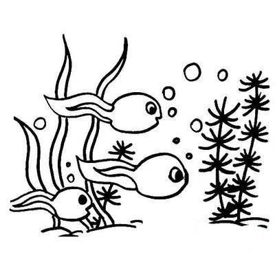 蝌蚪简笔画 蝌蚪简笔画彩色