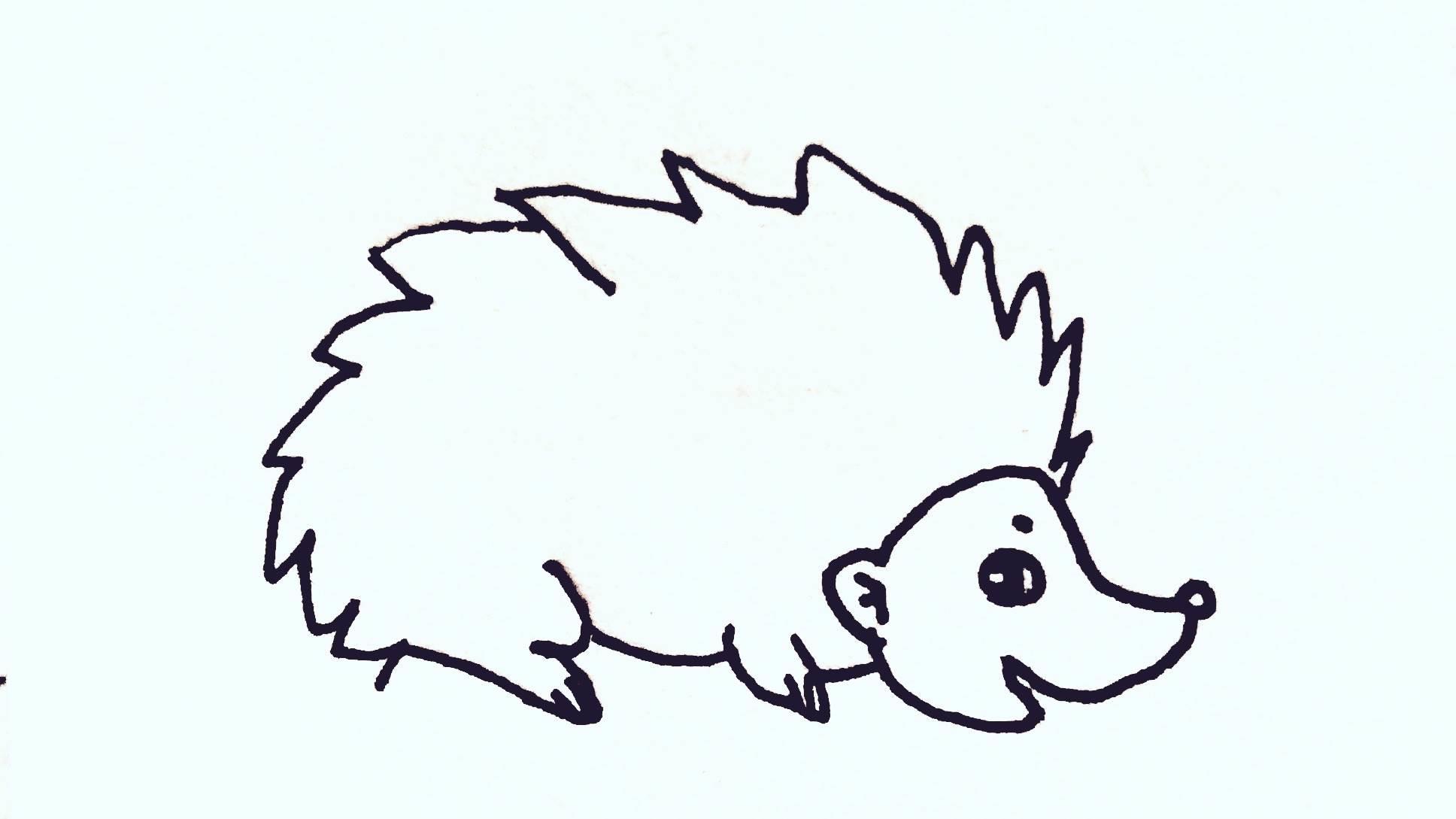 小刺猬简笔画图片大全 小刺猬简笔画图片大全大图