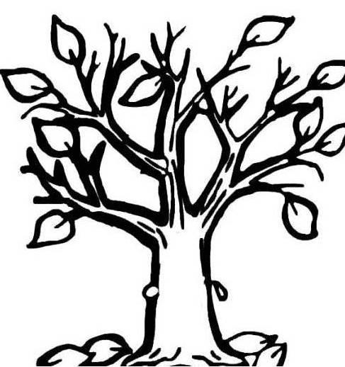 树的简笔画 树的简笔画大树