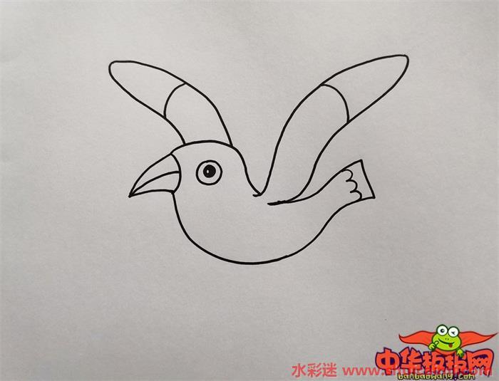 最海鸥怎么画 最海鸥简笔画简单易画彩色