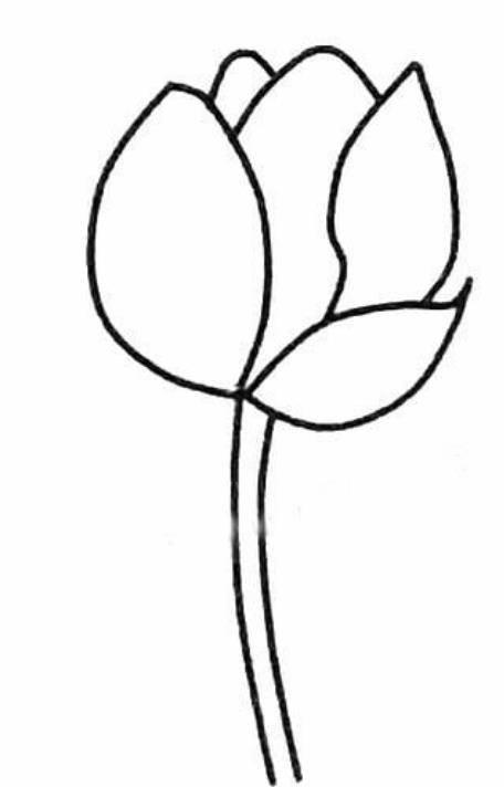 莲花简笔画 莲花简笔画简单又好看