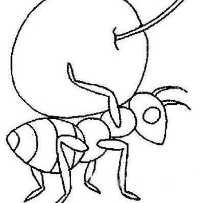 蚂蚁简笔画 蚂蚁简笔画简单可爱