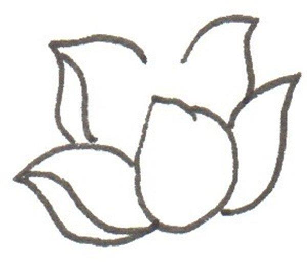 荷花的简笔画怎么画 荷花的简笔画步骤