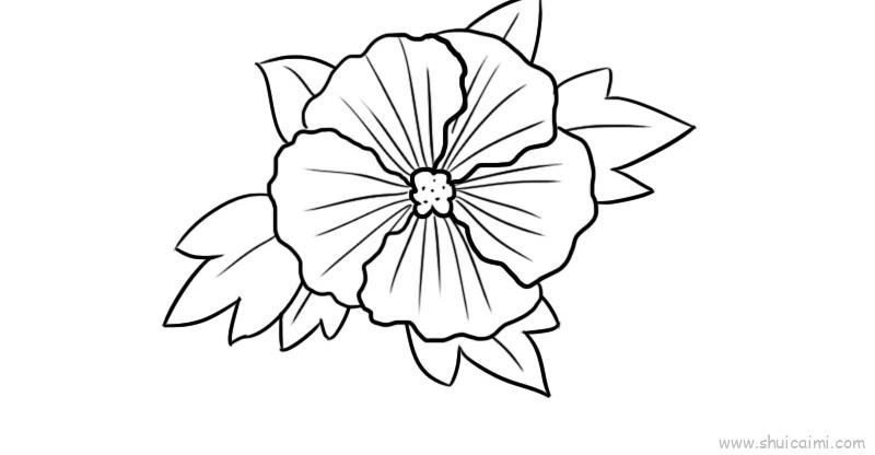 芙蓉花儿童画怎么画 芙蓉花简笔画简单