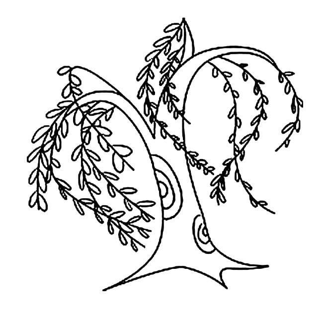 柳树简笔画图片大全 柳树简笔画图片大全大图简单