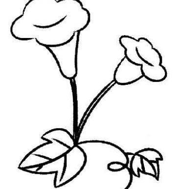 喇叭花简笔画图片大全 喇叭花简笔画图片大全彩色
