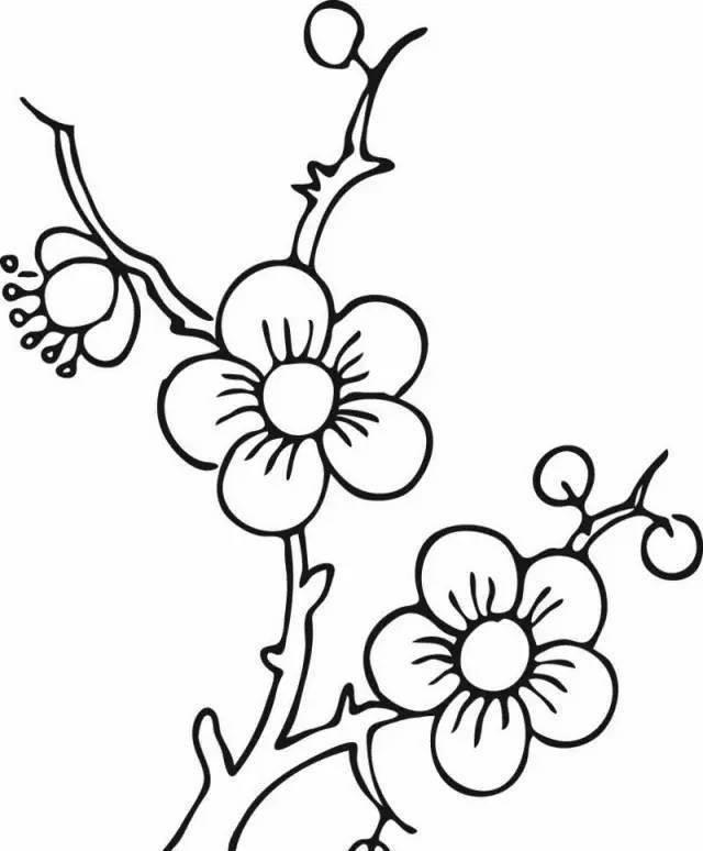 简笔画花朵 简笔画花朵图片