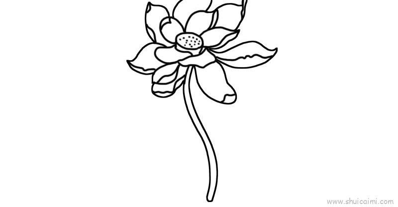 荷花儿童画怎么画 荷花简笔画画法