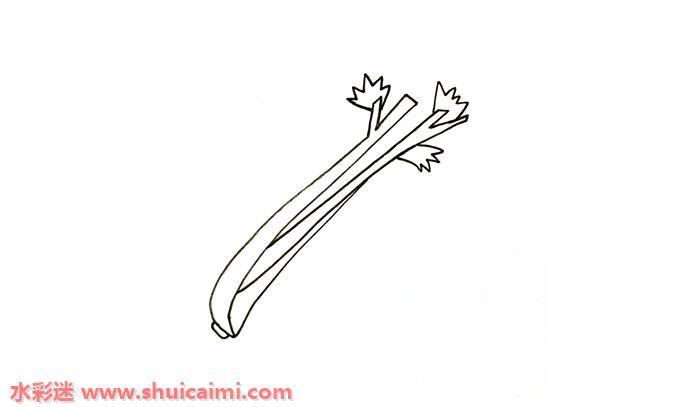芹菜怎么画 芹菜简笔画简单彩色