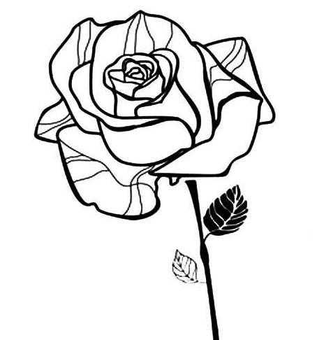 玫瑰花怎么画简笔画又漂亮 玫瑰花怎么画简笔画又漂亮 一步一步