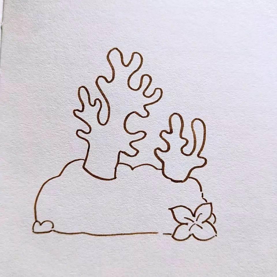 珊瑚简笔画 珊瑚简笔画图片大全