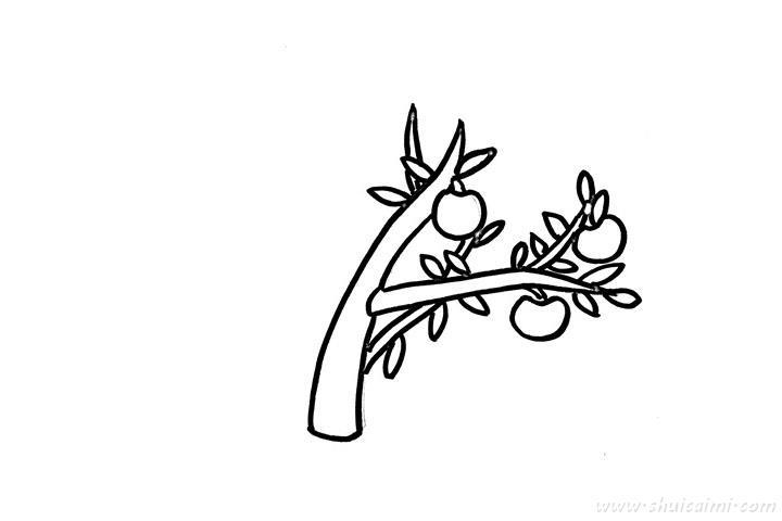 苹果树怎么画 苹果树简笔画简单又漂亮彩色
