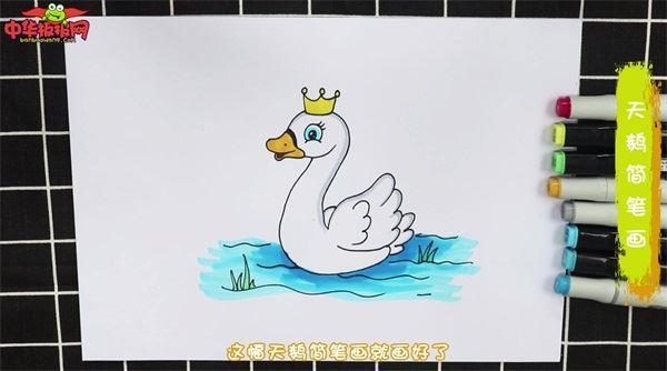 天鹅怎么画 天鹅简笔画简单又漂亮彩色