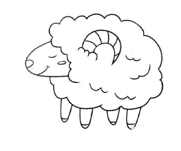 绵羊的简笔画图片大全 绵羊的简笔画图片大全大图可爱