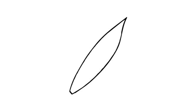 羽毛的简笔画怎么画 羽毛简笔画图片