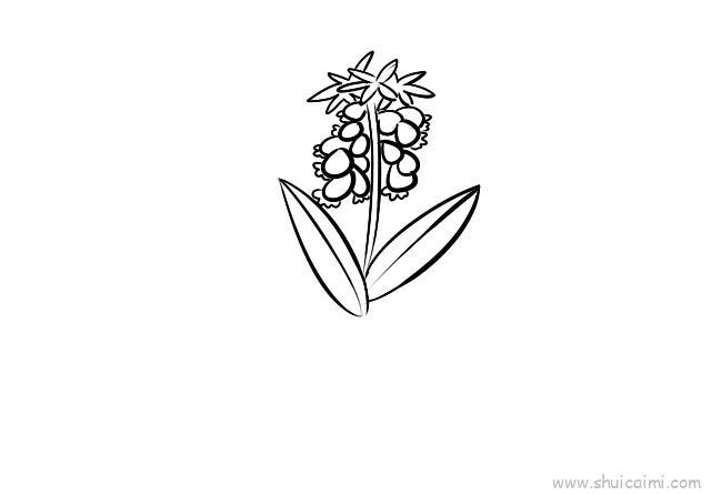 风信子儿童画怎么画 风信子简笔画图片