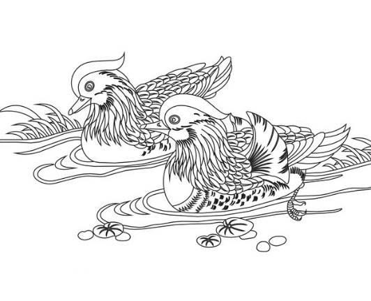 鸳鸯简笔画 一对鸳鸯简笔画