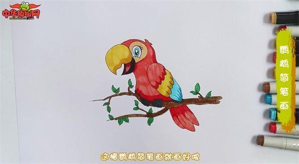 鹦鹉怎么画 鹦鹉简笔画画法