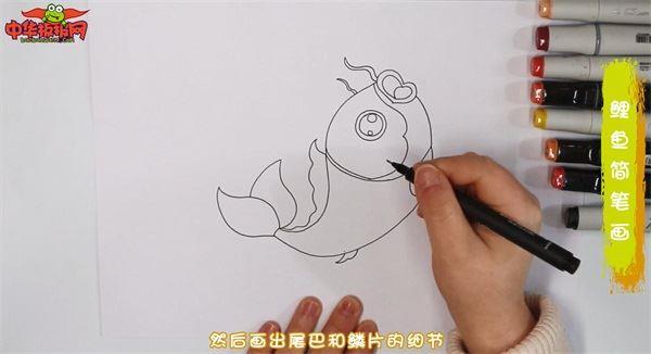 鲤鱼怎么画 鲤鱼简笔画彩色