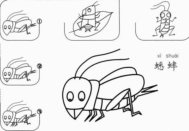 蟋蟀简笔画 蟋蟀简笔画图片带颜色