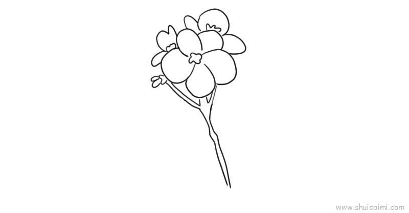 紫罗兰儿童画怎么画 紫罗兰简笔画好看