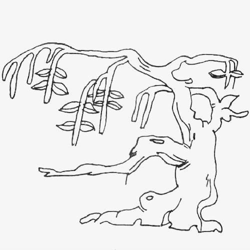 榕树简笔画 榕树简笔画图片带颜色