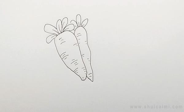 胡萝卜简笔画怎么画 胡萝卜简笔画画法