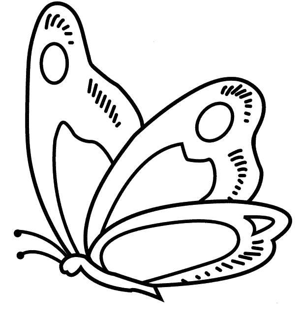 简笔画蝴蝶 简笔画蝴蝶图片大全彩色