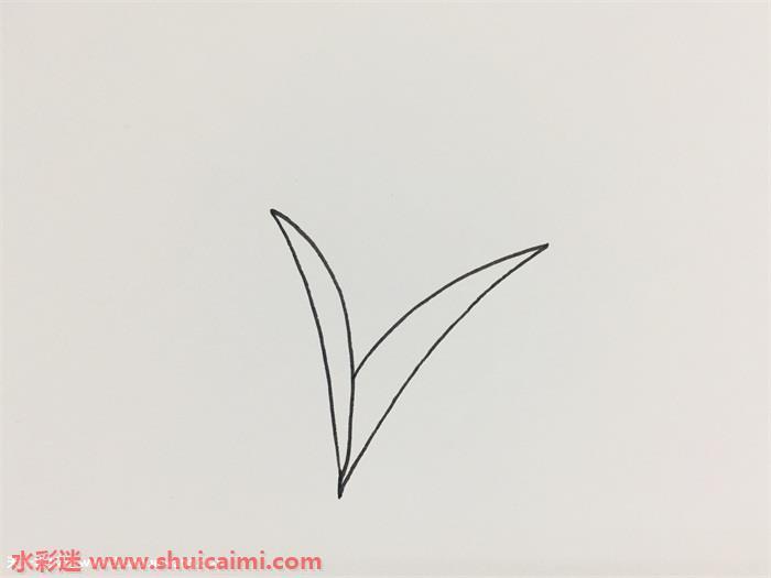 小麦怎么画 小麦简笔画简单彩色