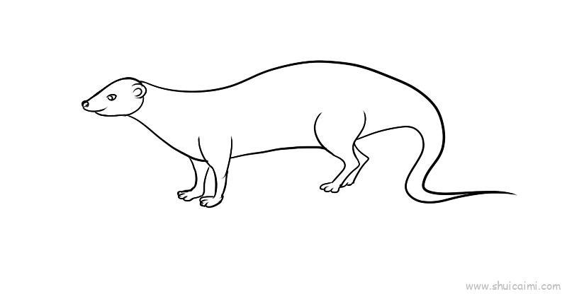 红颊獴儿童画怎么画 红颊獴简笔画好看