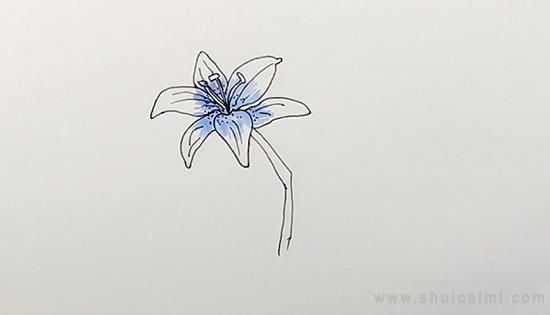 百合花简笔画怎么画 百合花简笔画好看
