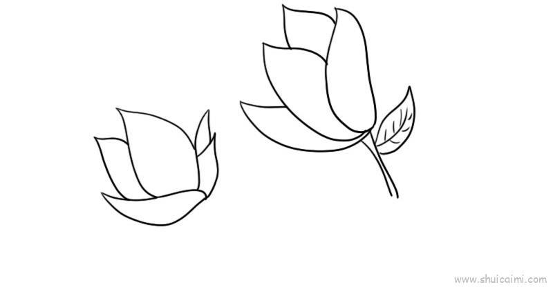 玉兰花儿童画怎么画 玉兰花简笔画好看